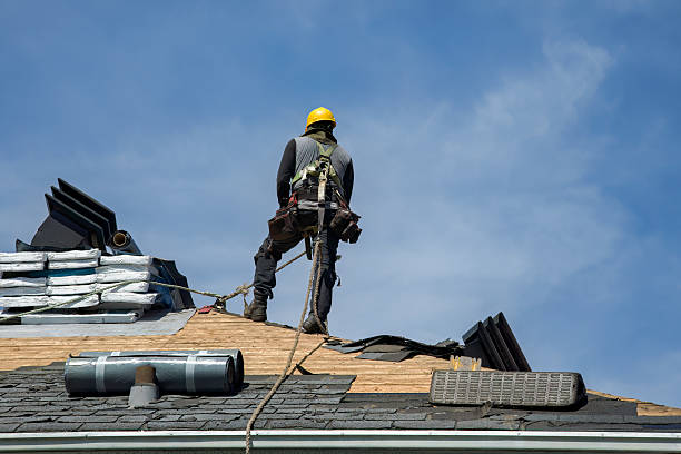 Professional Roof Replacement technician working in Bailey, CO